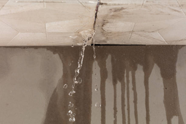 Professional Structural Drying technician working in Ava, OH